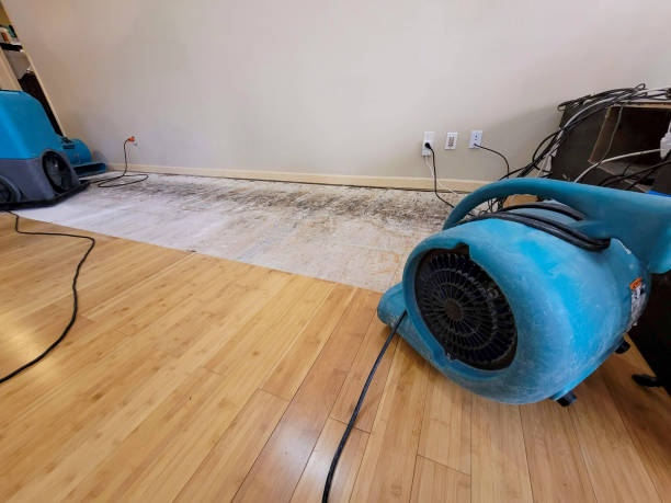 Professional Flood Damage Cleanup technician working in Sterling, OK